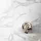 Glamour | Calacatta | 24" x 48" | Mat